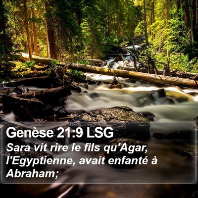 Genèse 21:9 LSG Bible Verse Image