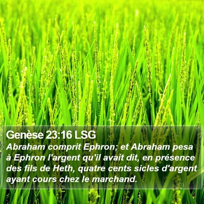 Genèse 23:16 LSG Bible Verse Image