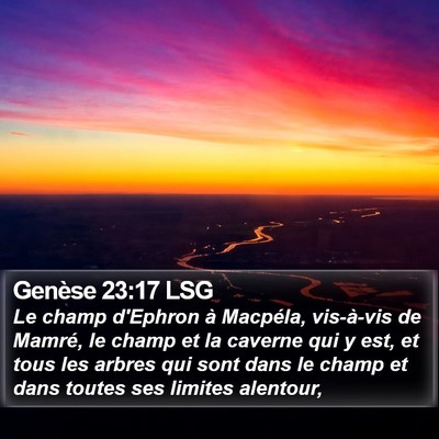 Genèse 23:17 LSG Bible Verse Image