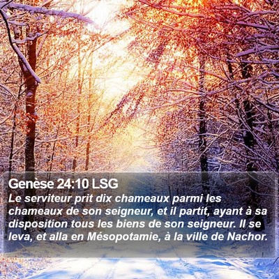 Genèse 24:10 LSG Bible Verse Image