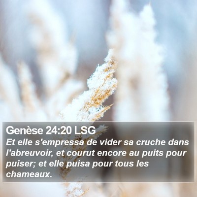 Genèse 24:20 LSG Bible Verse Image