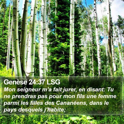 Genèse 24:37 LSG Bible Verse Image