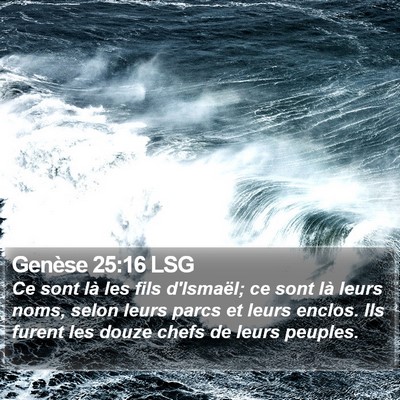 Genèse 25:16 LSG Bible Verse Image