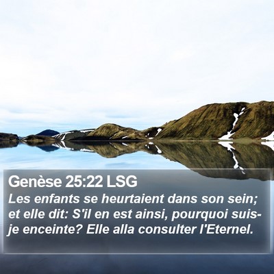 Genèse 25:22 LSG Bible Verse Image