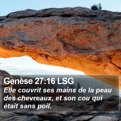 Genèse 27:16 LSG Bible Verse Image