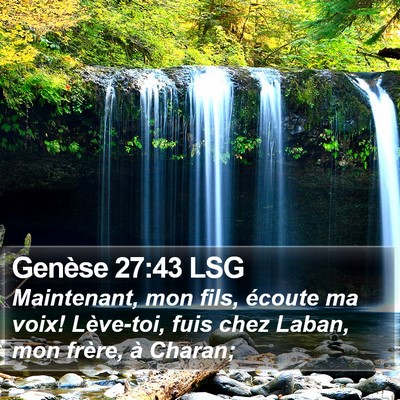 Genèse 27:43 LSG Bible Verse Image