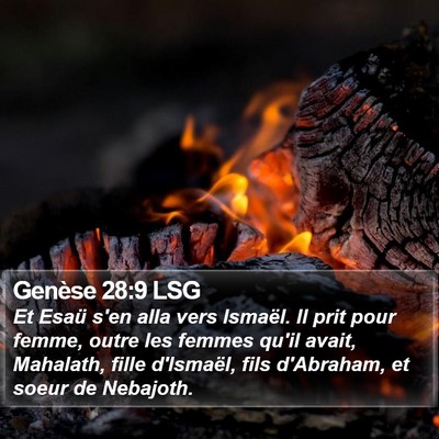 Genèse 28:9 LSG Bible Verse Image