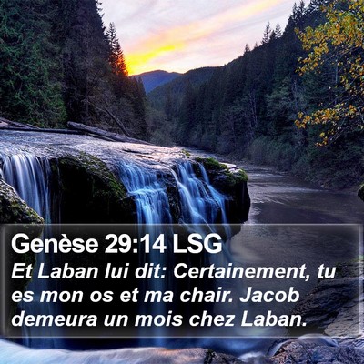 Genèse 29:14 LSG Bible Verse Image