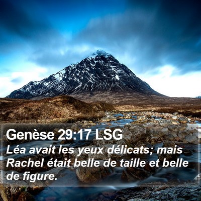 Genèse 29:17 LSG Bible Verse Image