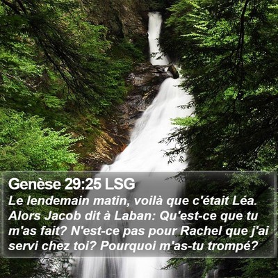 Genèse 29:25 LSG Bible Verse Image