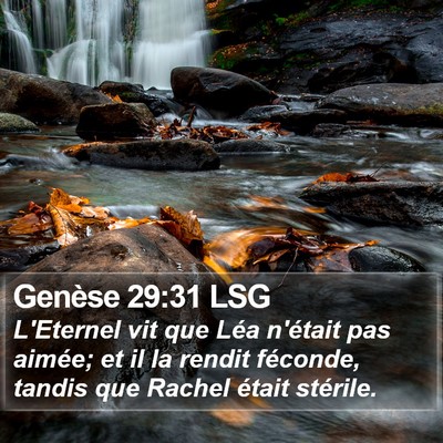 Genèse 29:31 LSG Bible Verse Image