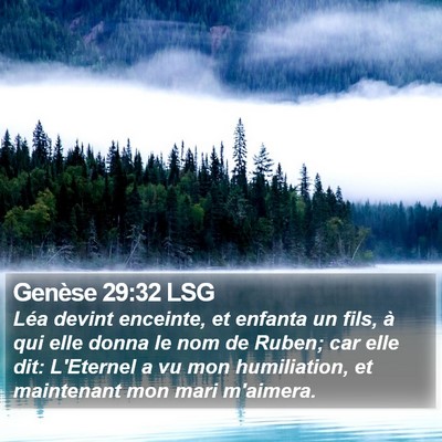 Genèse 29:32 LSG Bible Verse Image