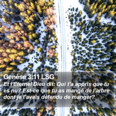 Genèse 3:11 LSG Bible Verse Image