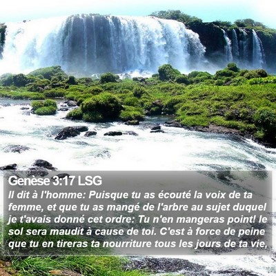 Genèse 3:17 LSG Bible Verse Image