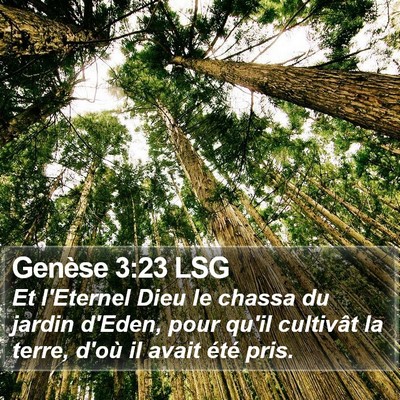 Genèse 3:23 LSG Bible Verse Image
