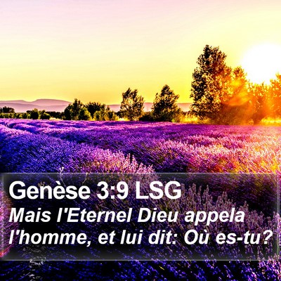 Genèse 3:9 LSG Bible Verse Image
