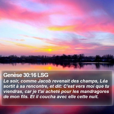 Genèse 30:16 LSG Bible Verse Image