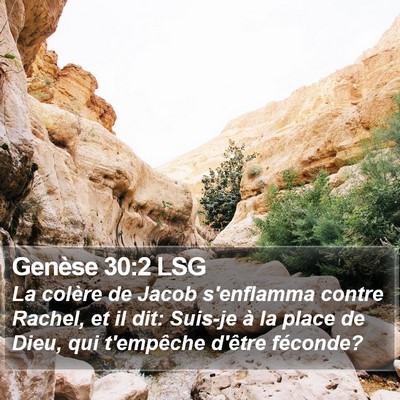 Genèse 30:2 LSG Bible Verse Image