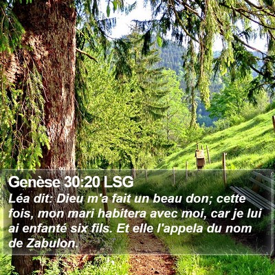 Genèse 30:20 LSG Bible Verse Image