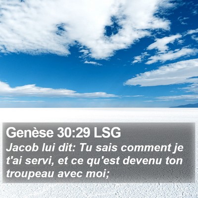 Genèse 30:29 LSG Bible Verse Image