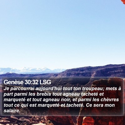 Genèse 30:32 LSG Bible Verse Image