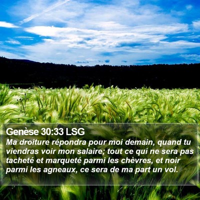 Genèse 30:33 LSG Bible Verse Image