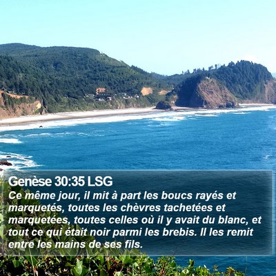 Genèse 30:35 LSG Bible Verse Image