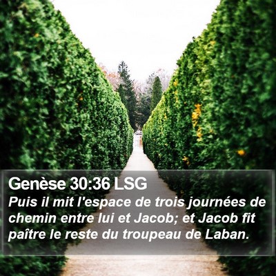 Genèse 30:36 LSG Bible Verse Image