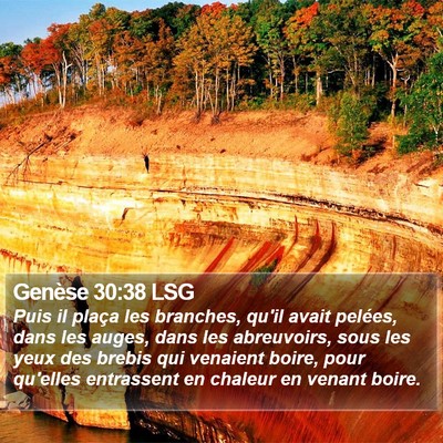 Genèse 30:38 LSG Bible Verse Image