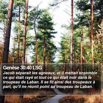 Genèse 30:40 LSG Bible Verse Image