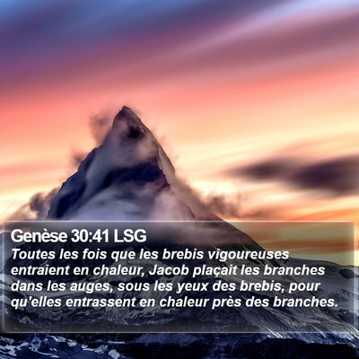 Genèse 30:41 LSG Bible Verse Image