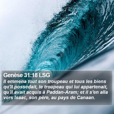 Genèse 31:18 LSG Bible Verse Image