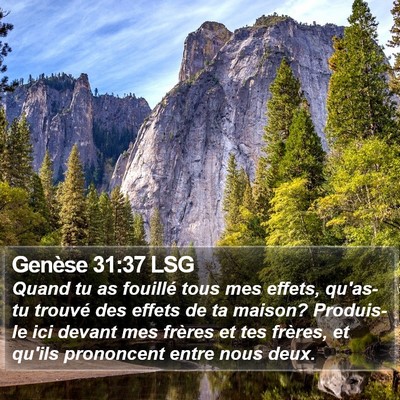 Genèse 31:37 LSG Bible Verse Image