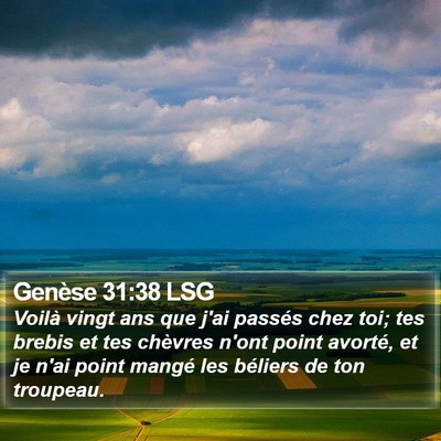Genèse 31:38 LSG Bible Verse Image