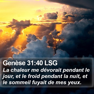 Genèse 31:40 LSG Bible Verse Image