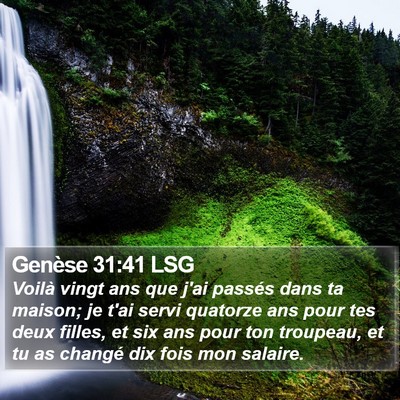 Genèse 31:41 LSG Bible Verse Image