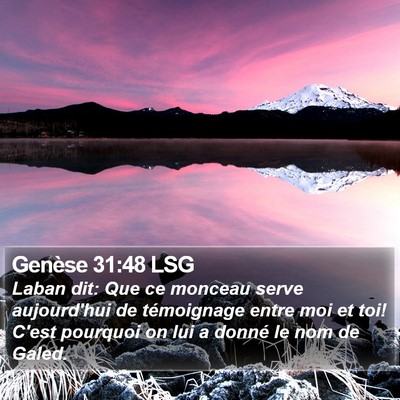 Genèse 31:48 LSG Bible Verse Image