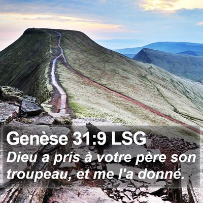 Genèse 31:9 LSG Bible Verse Image