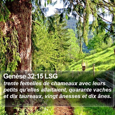 Genèse 32:15 LSG Bible Verse Image