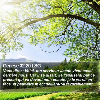 Genèse 32:20 LSG Bible Verse Image