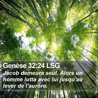 Genèse 32:24 LSG Bible Verse Image