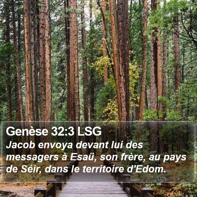 Genèse 32:3 LSG Bible Verse Image