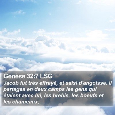Genèse 32:7 LSG Bible Verse Image