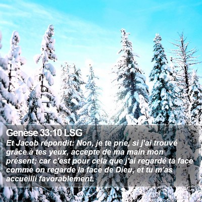 Genèse 33:10 LSG Bible Verse Image