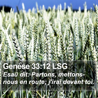 Genèse 33:12 LSG Bible Verse Image