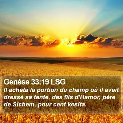 Genèse 33:19 LSG Bible Verse Image