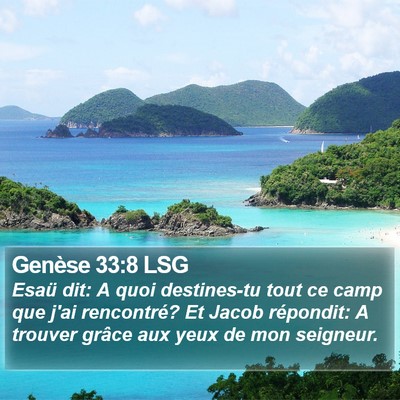 Genèse 33:8 LSG Bible Verse Image