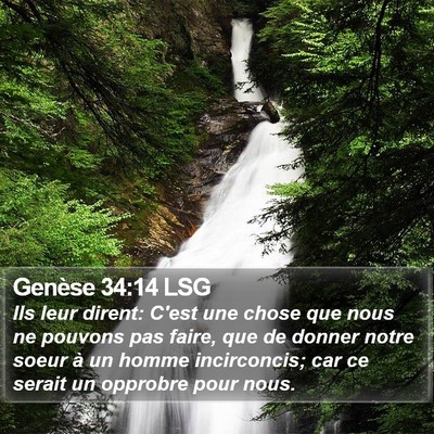 Genèse 34:14 LSG Bible Verse Image