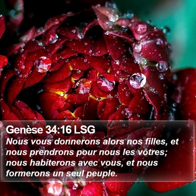 Genèse 34:16 LSG Bible Verse Image