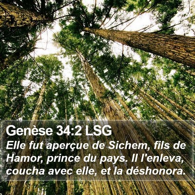 Genèse 34:2 LSG Bible Verse Image